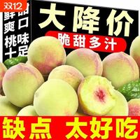2025十款热门桃子产品榜 值得入手的桃子商品推荐